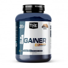 THE NUTRITION ALL IN ONE GAINER 2000G ČOKOLADA I KOLAČIĆI