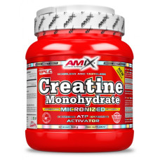 AMIX CREATINE MONOHYDRATE 500G 