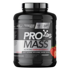 BASIC PRO MASS 2,6 KG JAGODA