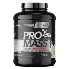 BASIC PRO MASS 2,6 KG VANILA